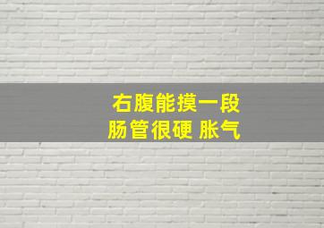 右腹能摸一段肠管很硬 胀气